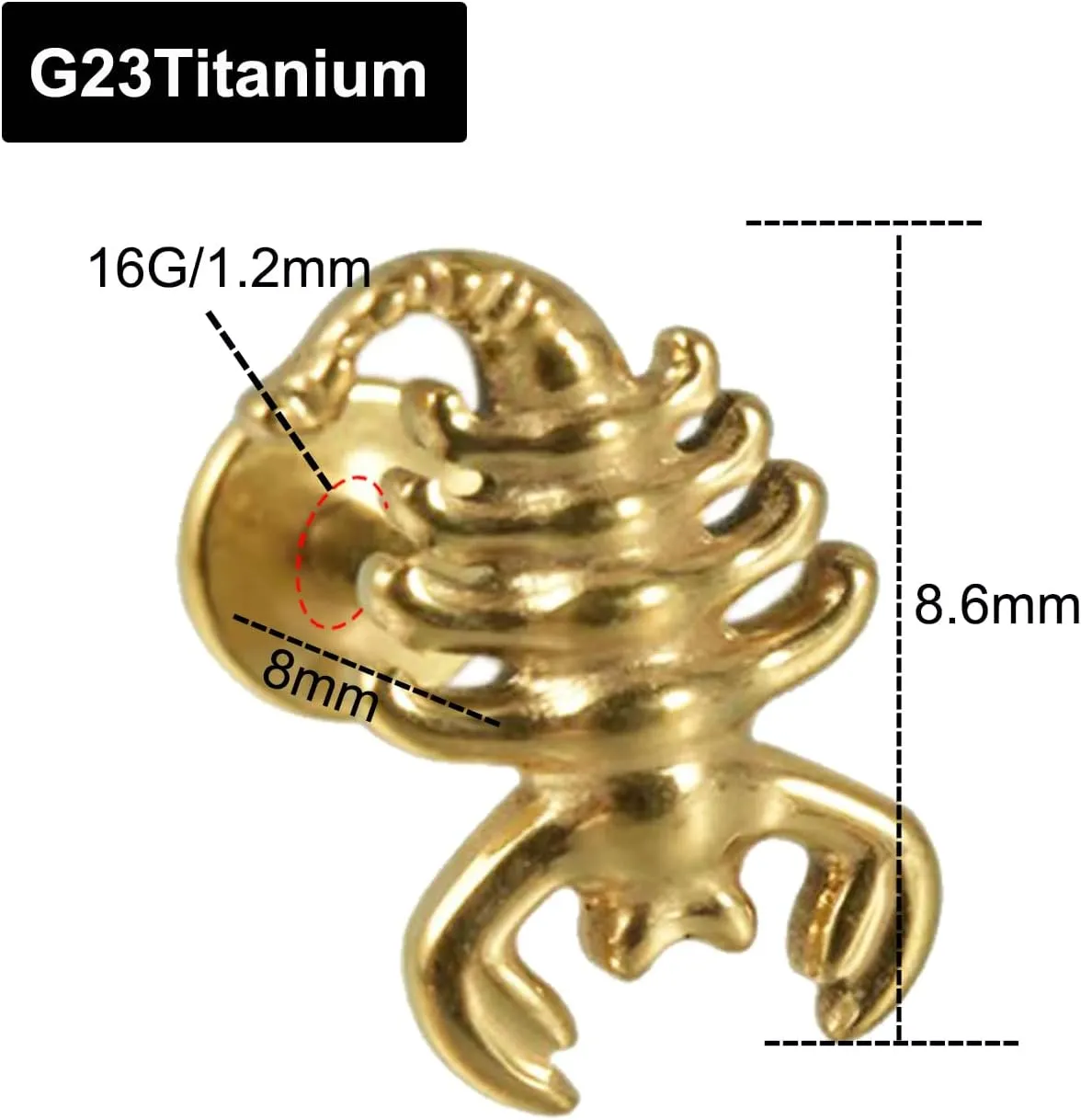 G23 Titanium 16G Push in Flatback Stud for Flat, Helix, Tragus, Conch, Lobe CZ Nose Stud Lip Stud Hypoallergenic Nickel Free Cartilage Earring Piercing Jewelry